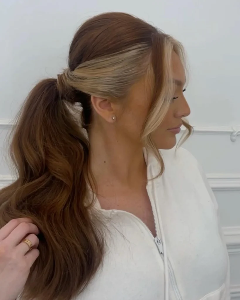 ### Twisted Elegance Ponytail